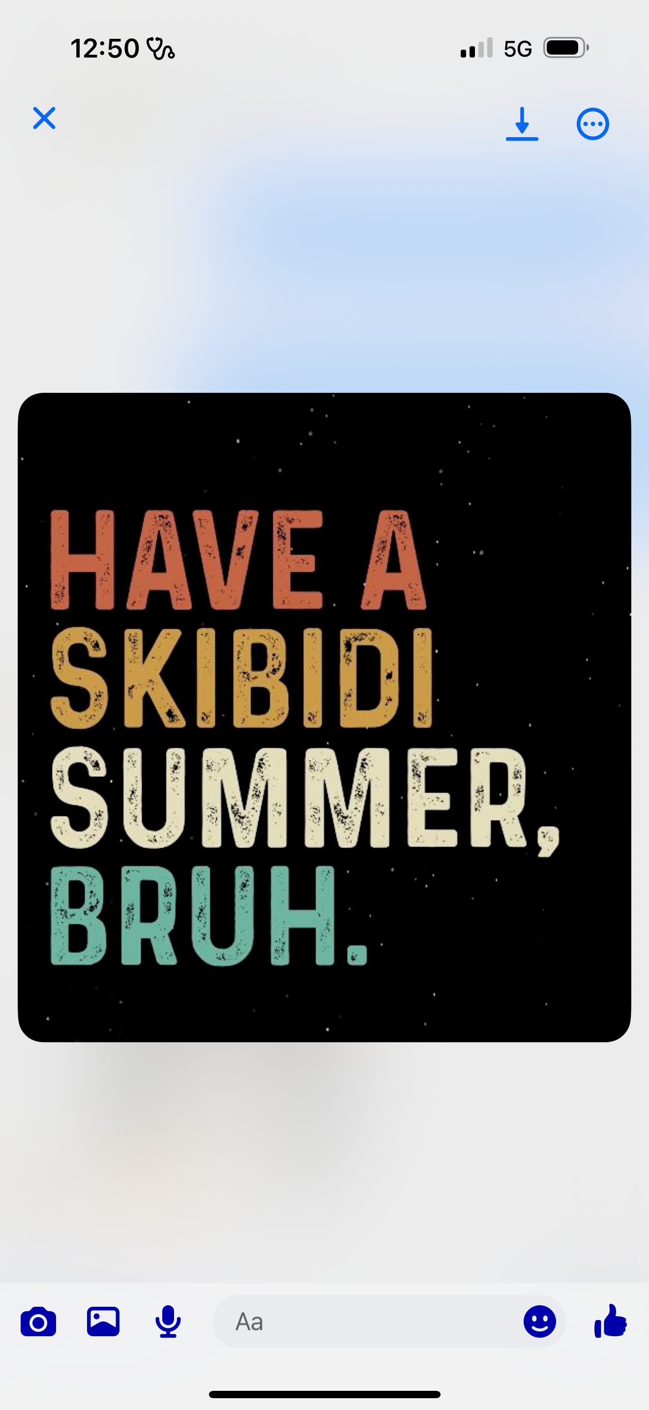 Have a Skibidi Summer Bruh