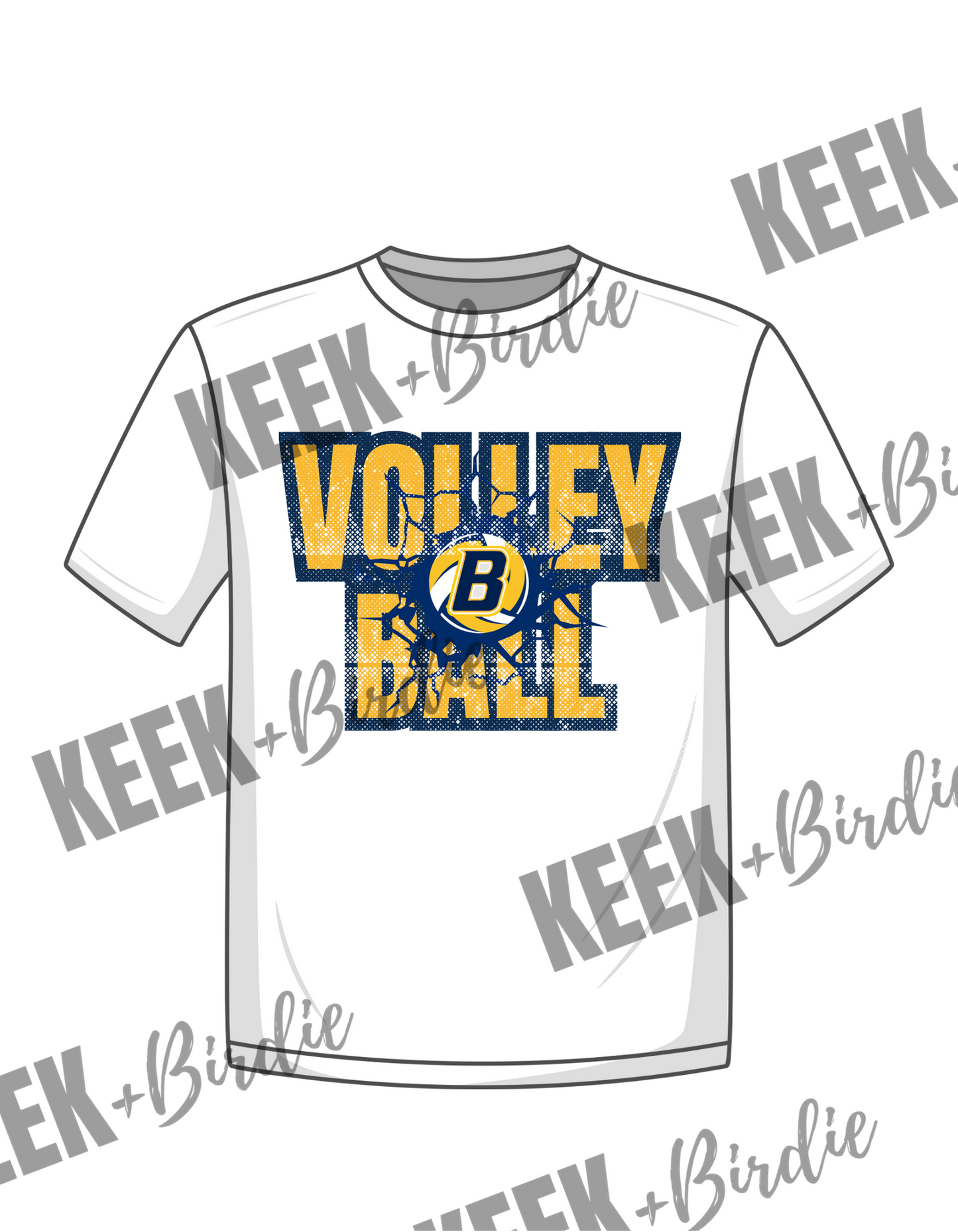 BB volleyball 2