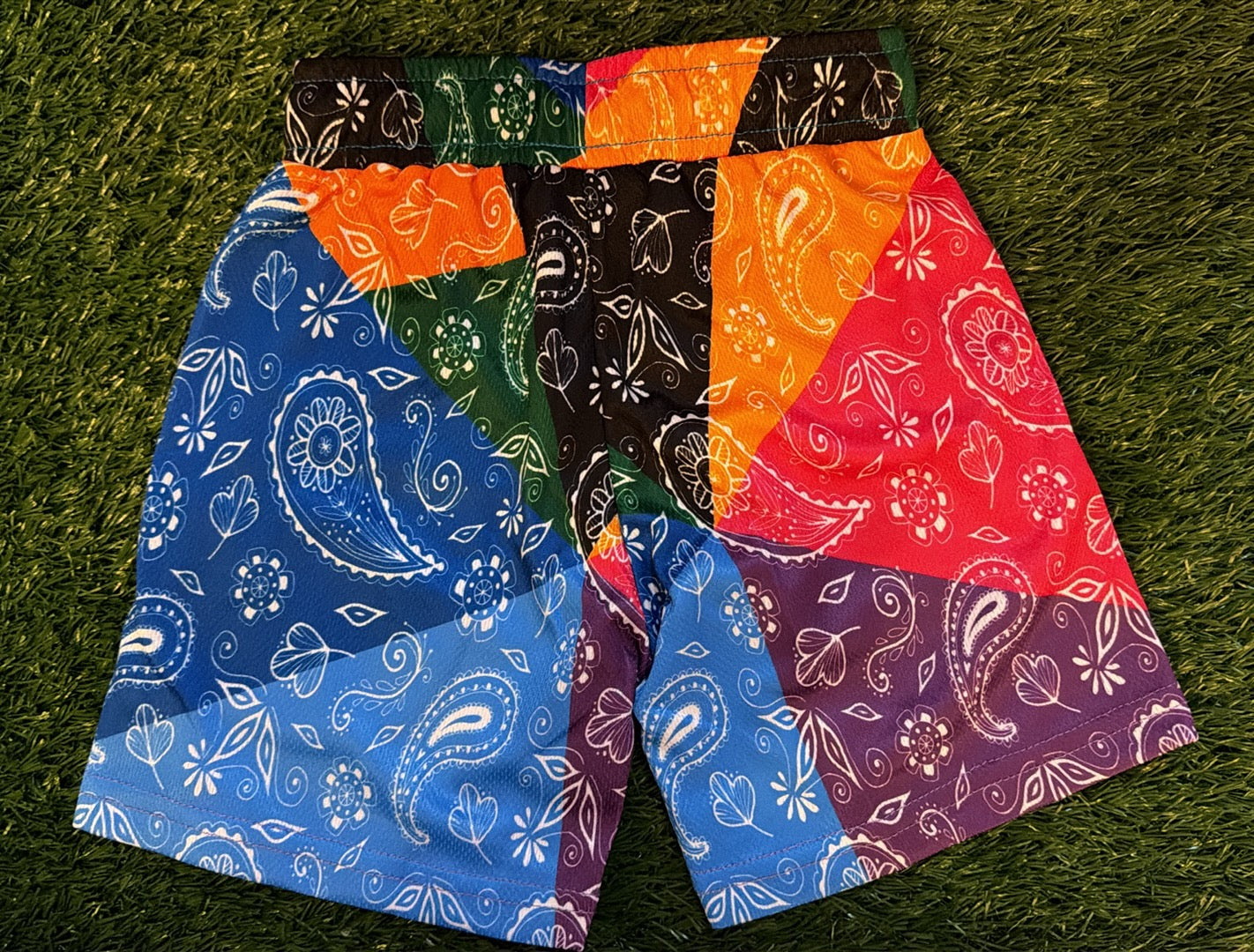 KB multi color paisley shorts