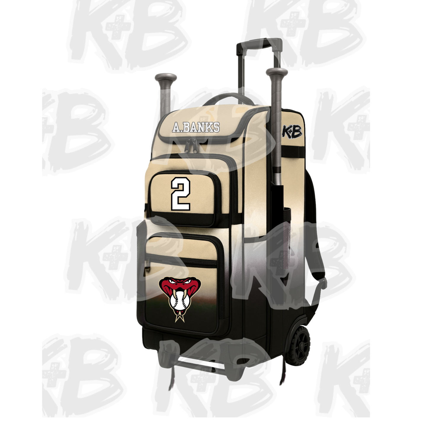 DB bat bag with trolley