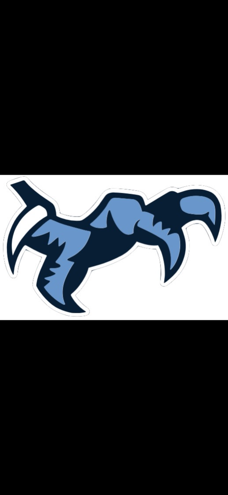 Chapin Eagles Collection