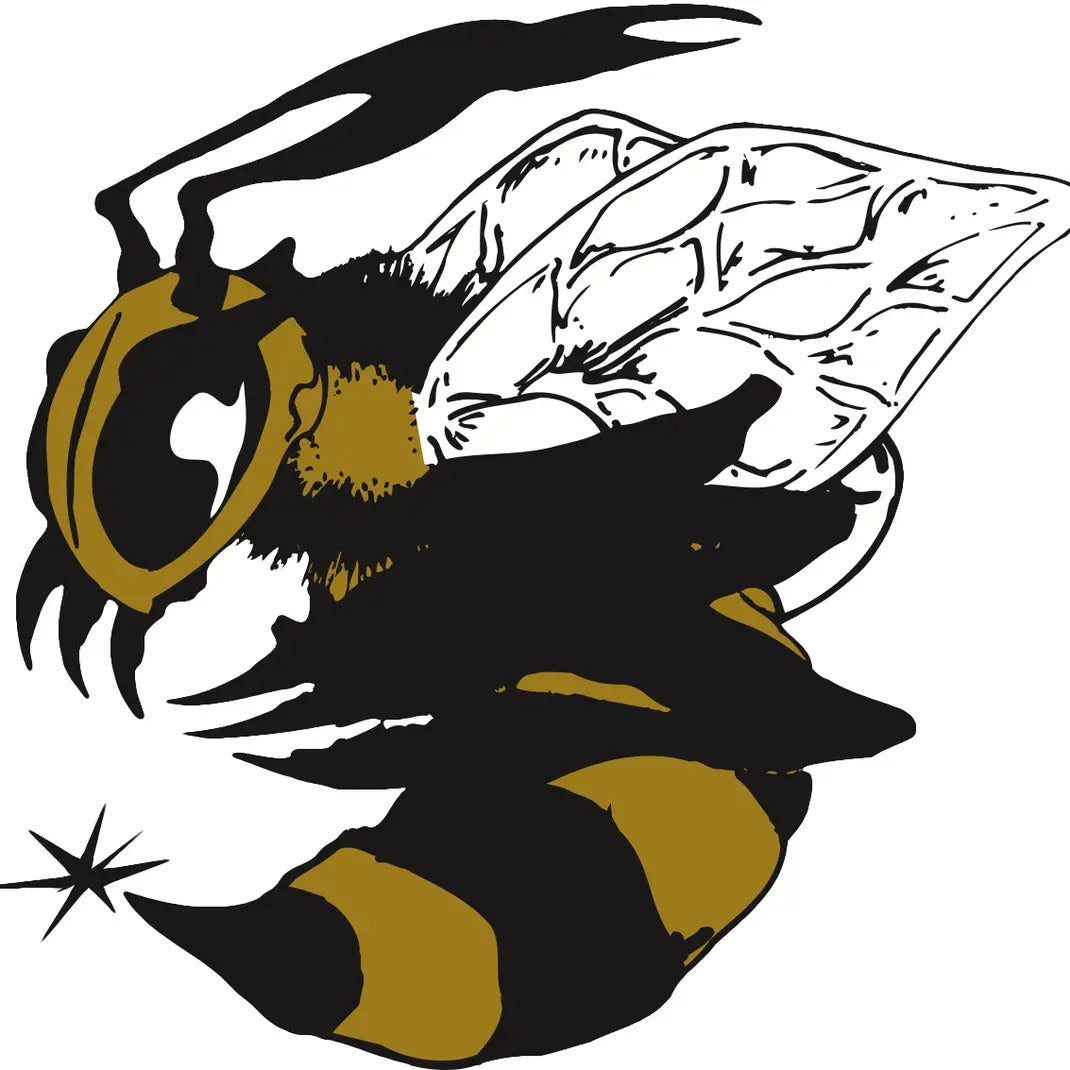 North Augusta Black Swarm Football 🏈