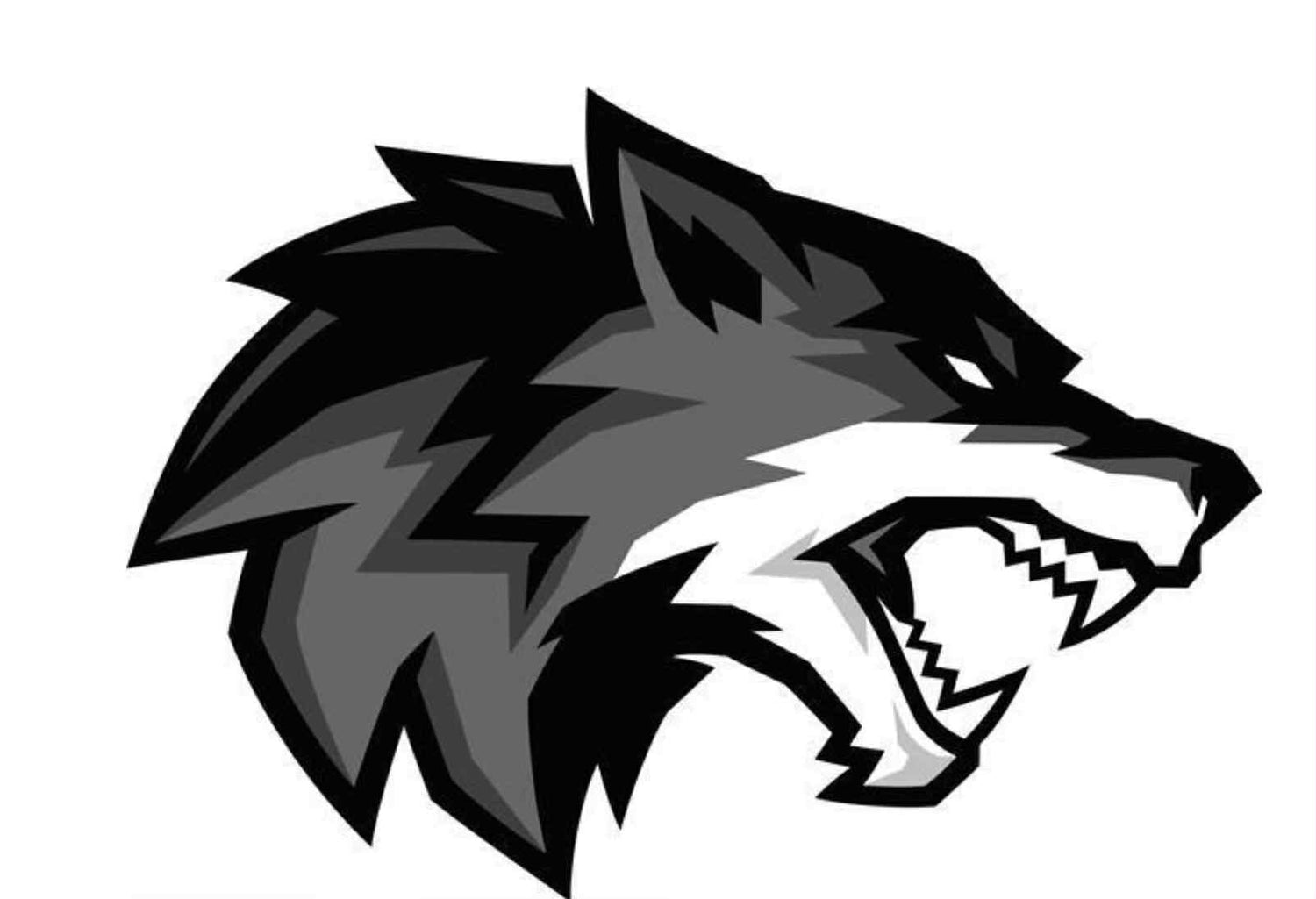 New Mexico Wolfpack Baseball Collection ⚾️