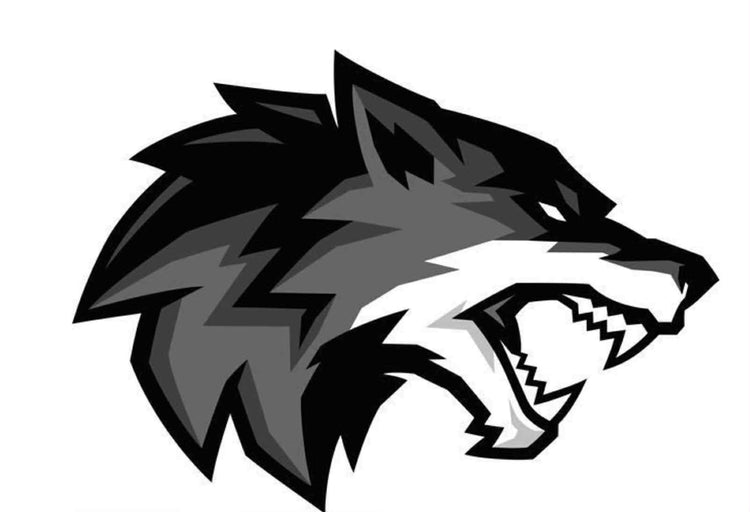 New Mexico Wolfpack Baseball Collection ⚾️
