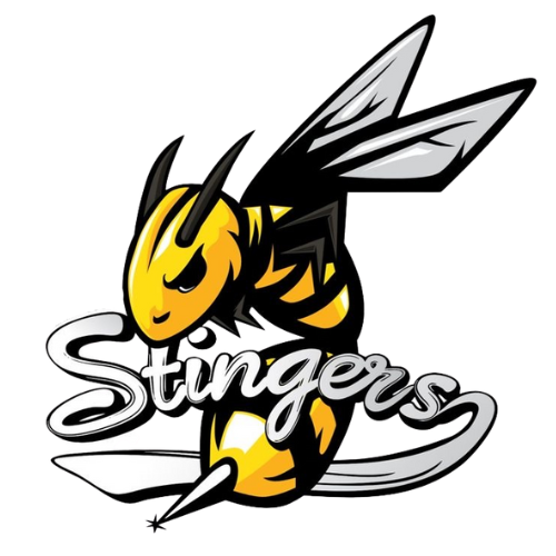 Steel City Stingers Baseball Collection ⚾️ (Alabama)