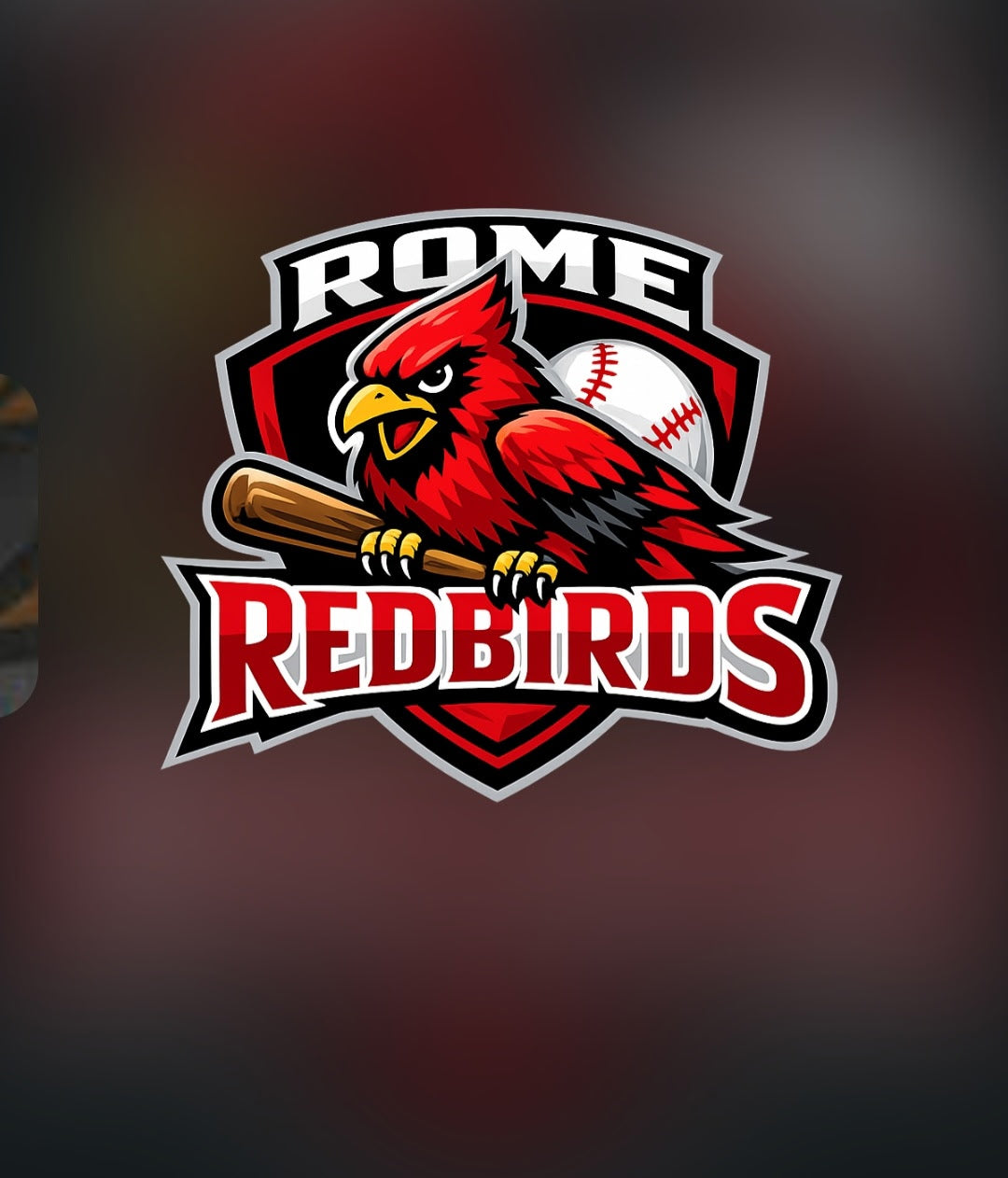 Rome Redbirds Baseball Collection (Georgia)