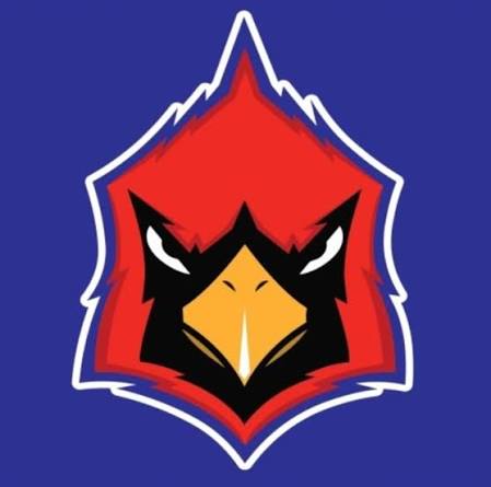 Cardinals Baseball Collection ⚾️ (Texas)