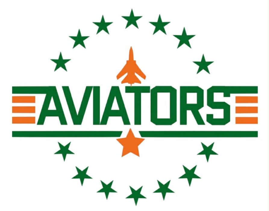 Houston Aviators Baseball Collection ⚾️ (La Porte, Tx)