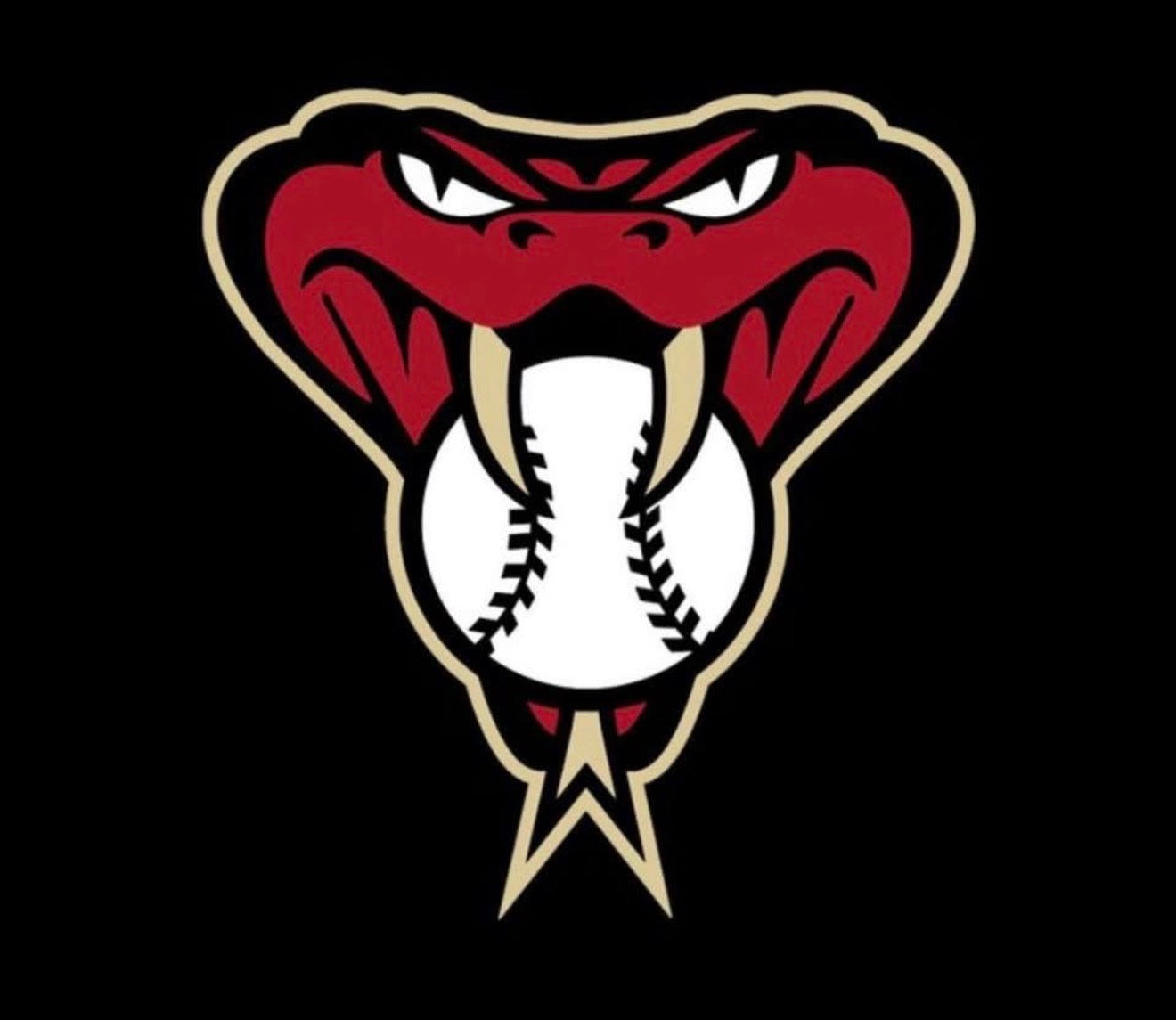 New Mexico Diamondbacks Baseball Collection ⚾️