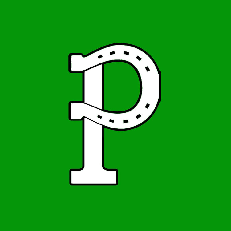 Portage Mustangs Athletics Collection (Pennsylvania)
