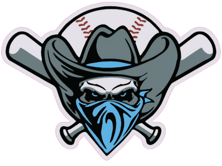 Carolina Rebels Baseball Collection ⚾️