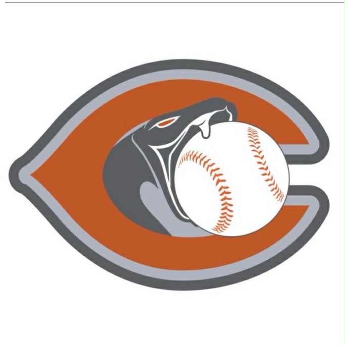 Copperheads Black Baseball Collection (Alabama) ⚾️