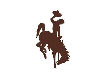 Rodeo Collection