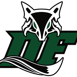 Dutch Fork Silver Foxes Collection
