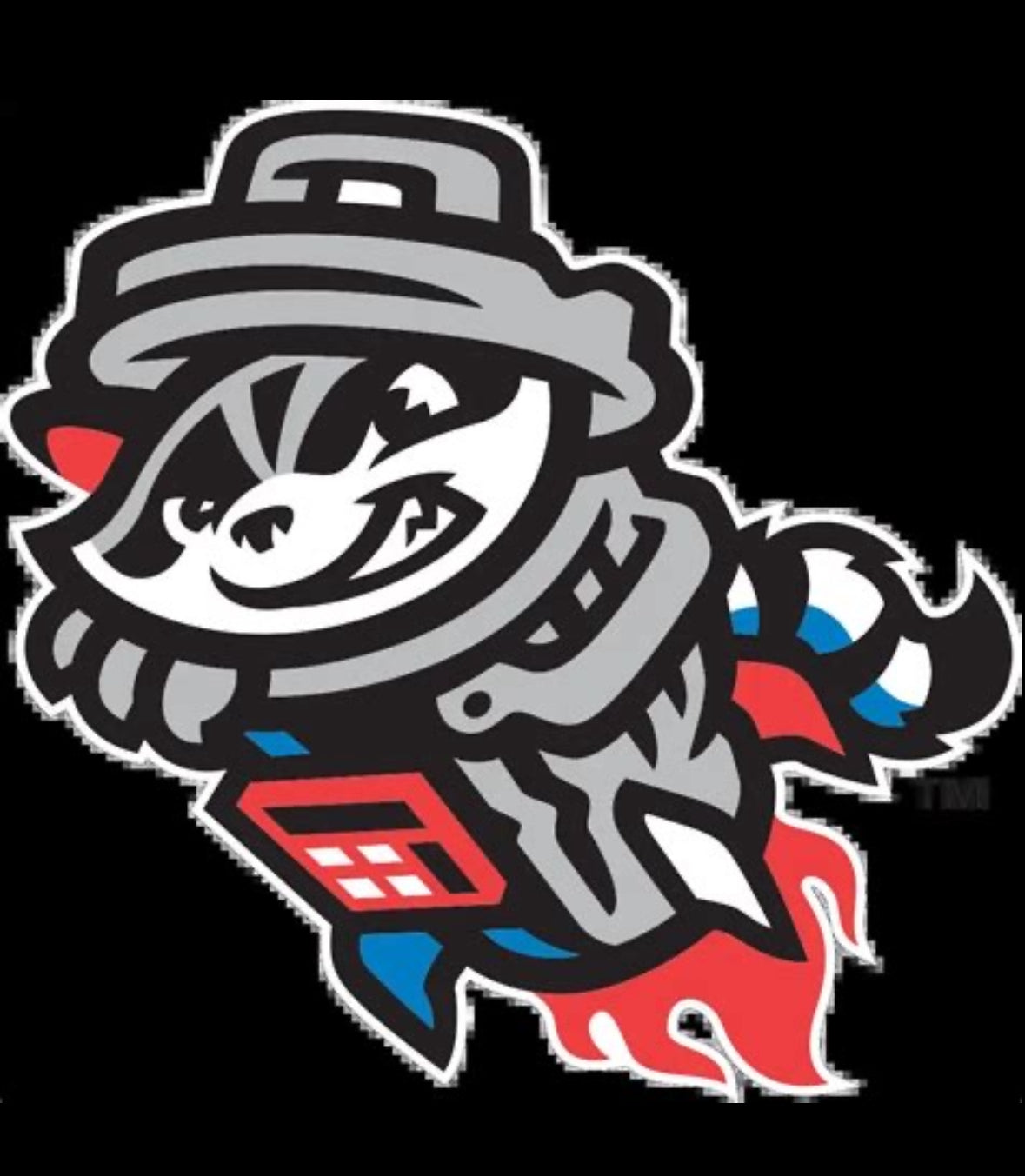 Trash Pandas Baseball Collection ⚾️ (Alabama-Rocket City)