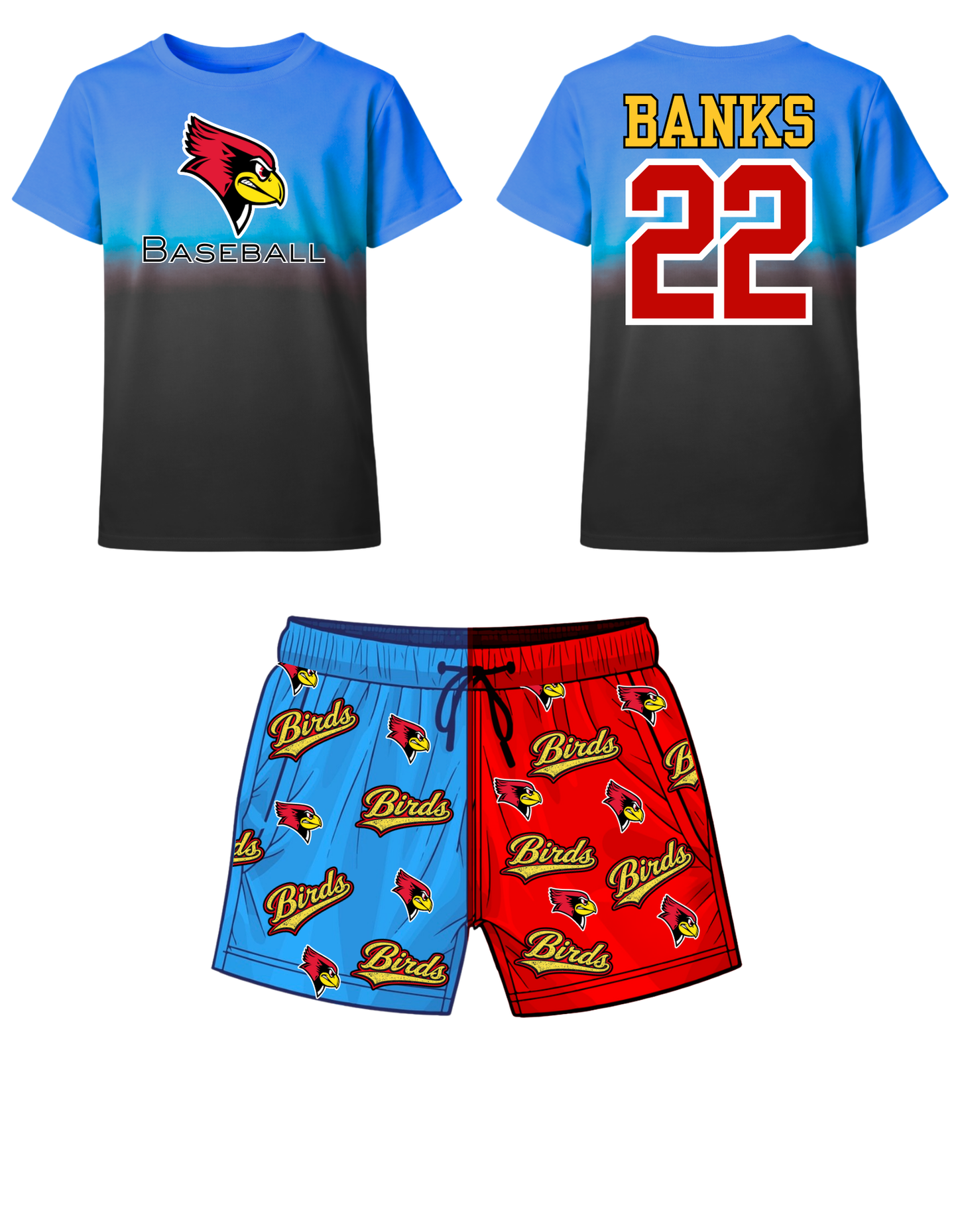 RR Set ombre/half blue half red