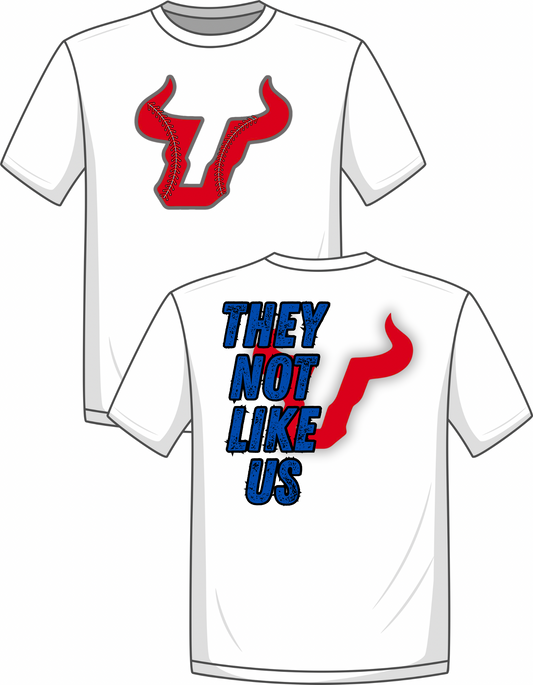 Bulls-They not like us
