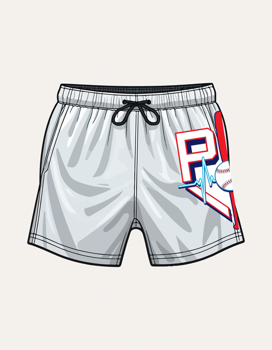 Palmetto Pulse side logo