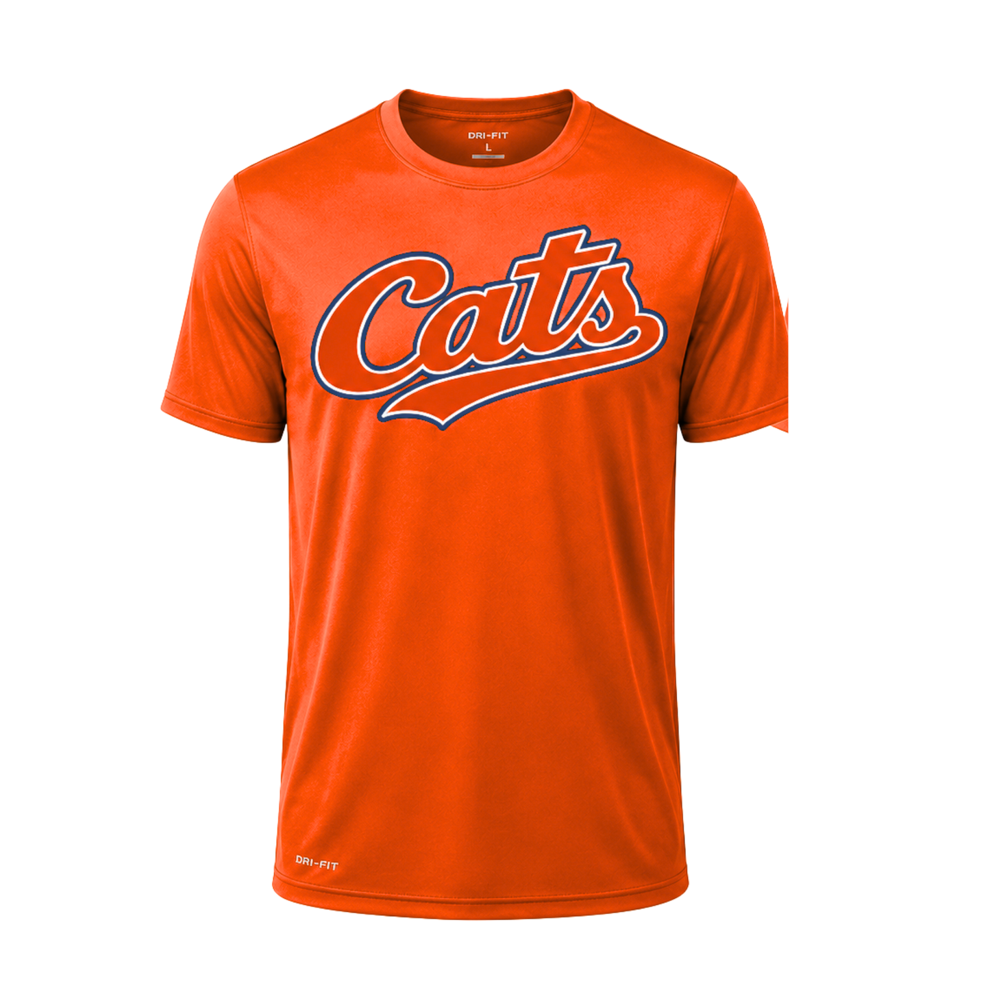 Cats traditional orange