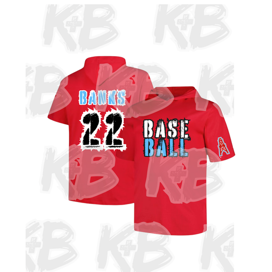 DB hooded ss pullover shirt