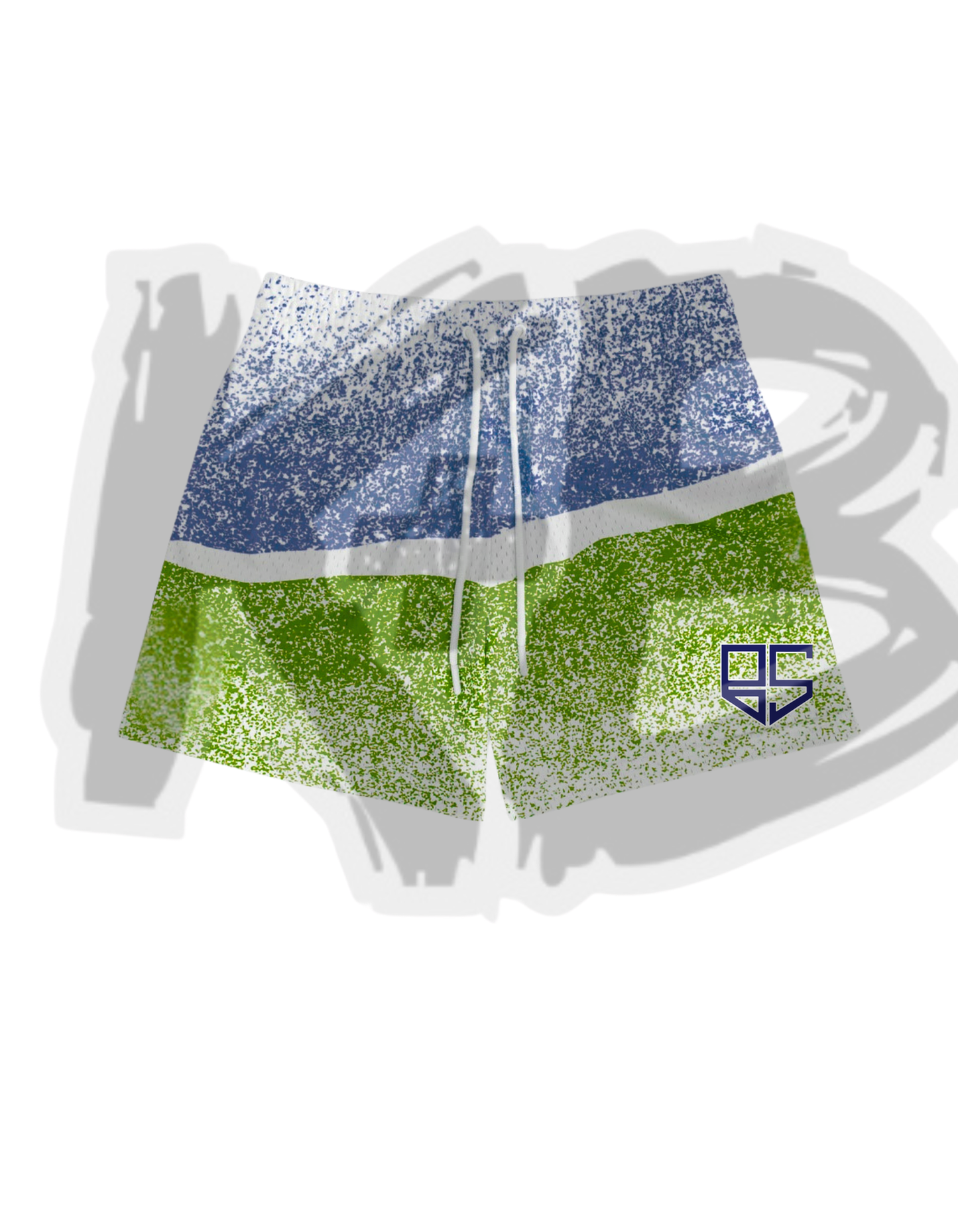 BS shorts spray paint 2