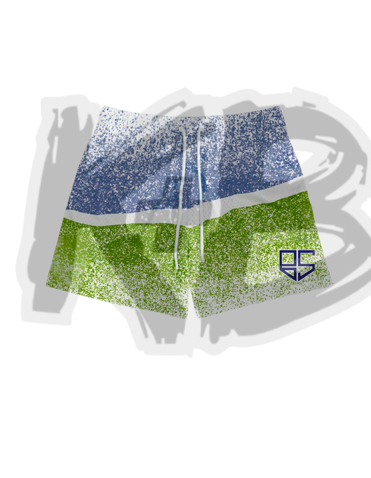 BS shorts spray paint 2