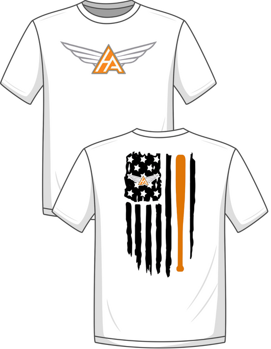 Aviators Flag 2
