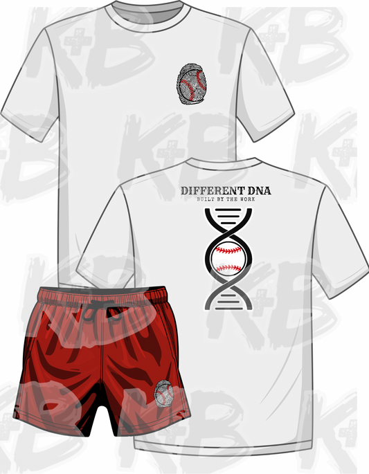 KB different DNA set