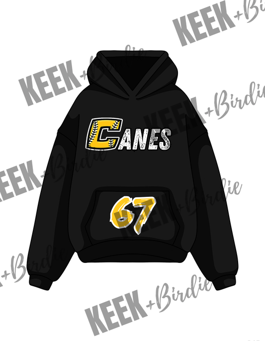 Canes Hoodie 2