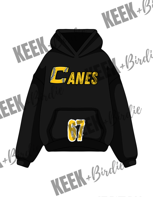 Canes Hoodie 3